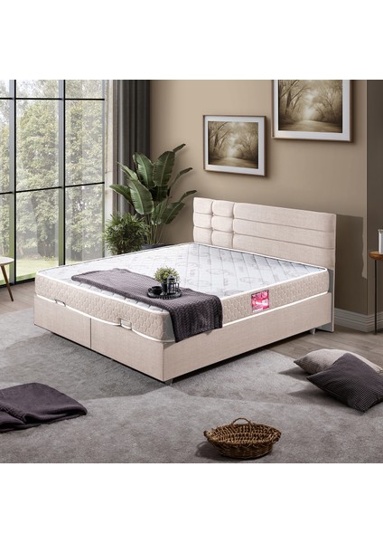 Viyana Çift Kişilik Baza Başlık Letto Yatak Seti Krem