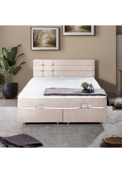 Viyana Çift Kişilik Baza Başlık Letto Yatak Seti Krem