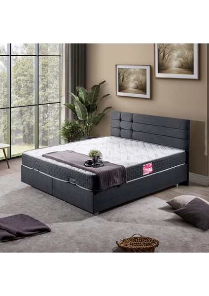 Viyana Çift Kişilik Baza Başlık Letto Yatak Seti Antrasit