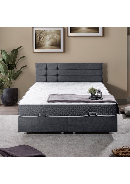 Viyana Çift Kişilik Baza Başlık Letto Yatak Seti Antrasit