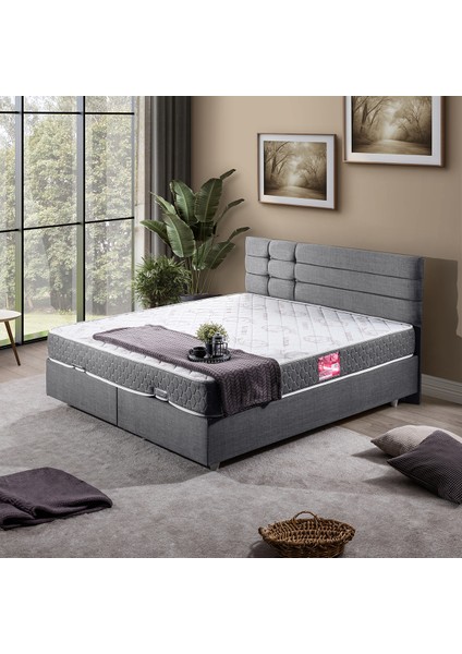 Viyana Çift Kişilik Baza Başlık Letto Yatak Seti Gri