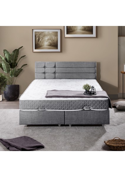 Viyana Çift Kişilik Baza Başlık Letto Yatak Seti Gri