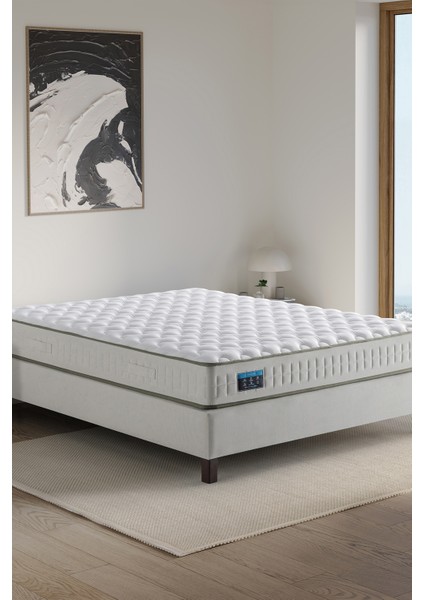 Aloe Vera Life Yatak fiyatları