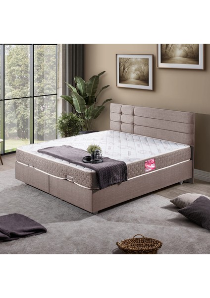 Viyana Çift Kişilik Baza Başlık Letto Yatak Seti Kahve