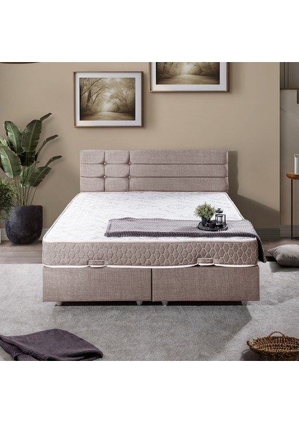 Viyana Çift Kişilik Baza Başlık Letto Yatak Seti Kahve