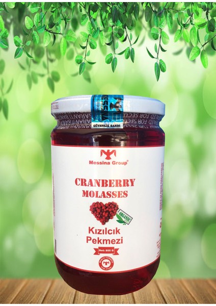 Organik Kızılcık Pekmezi / Organic Cranberry Molasses / 800GR