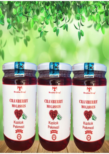 Organik Kızılcık Pekmezi / Organic Cranberry Molasses / 800GR