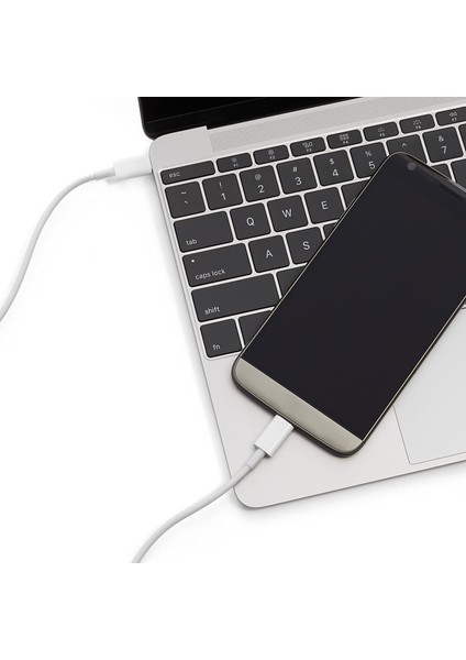 Type-C Pd Kablo 30 cm Şarj ve Data Kablosu 20W 3.1 Amper Hızlı Şarj Kablosu USB C