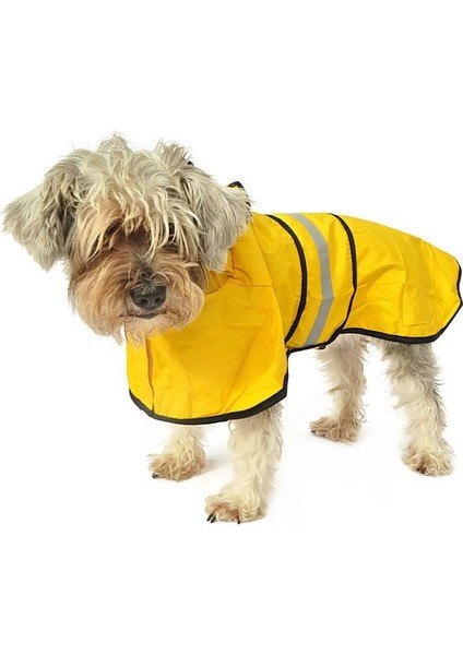 Köpek Küçük ve Orta Irk Yağmurluk Ekon Sarı