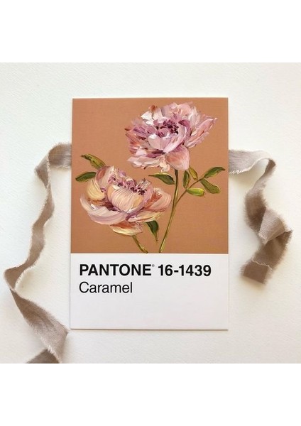 Pantone 25 Adet Toprak Renler Postcards Scrapbooking Sanat Kartları