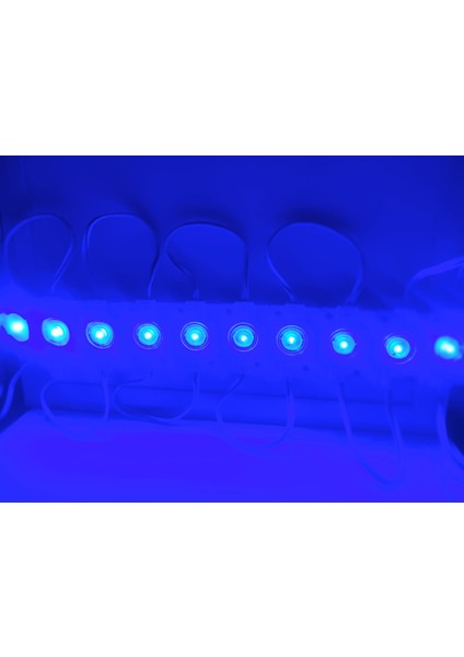 Ookay 150LM Modül LED Mavi