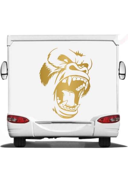 Maymun Goril King Kong Araba Oto Motosiklet Karavan Sticker 01681