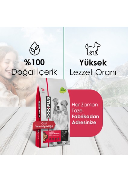 Düşük Tahıllı Hipoalerjenik Kuzu Etli Pirinçli Yetişkin Köpek Maması 15 Kg + Kuzu Etli + Dana Etli Ödül