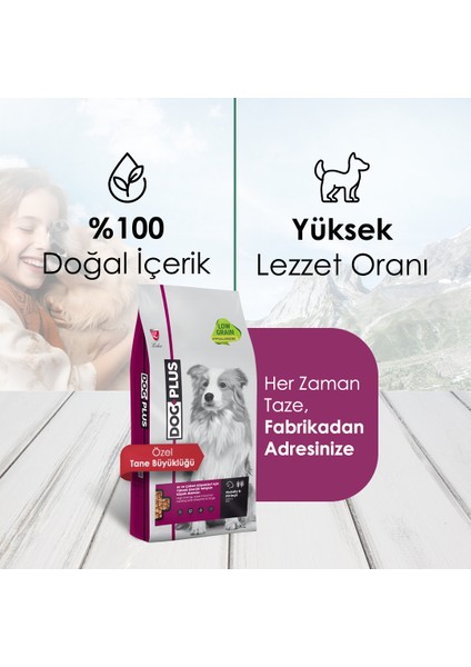 Düşük Tahıllı Hipoalerjenik Kuzu Etli Yüksek Enerjili Yetişkin Köpek Maması 15 Kg + Kuzu Etli + DanaEtli Ödül