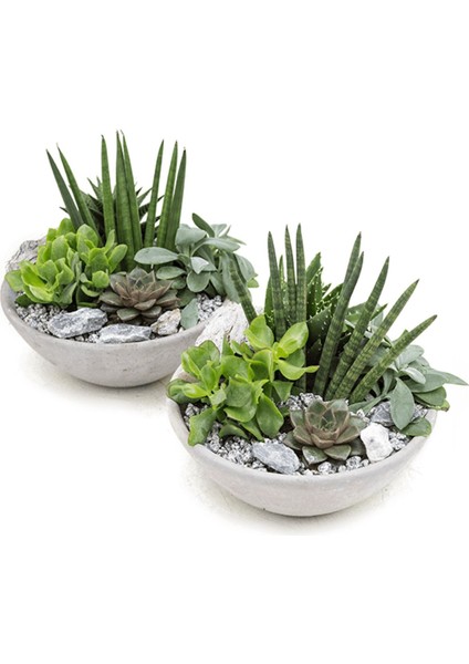 2 Adet Tahran Dizayn Oval Beton Saksı fiyatları