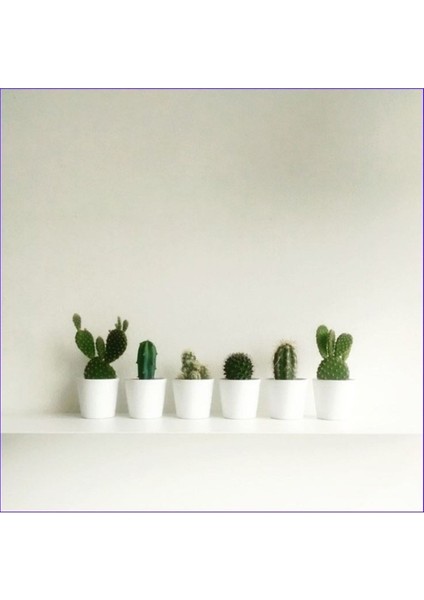 Mini Seramik Saksılarda 6'lı Kaktüs Seti