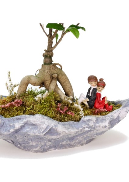 Stonehenge Ficus Bonsai ve Sırt Sırta Sevgililer fiyatları