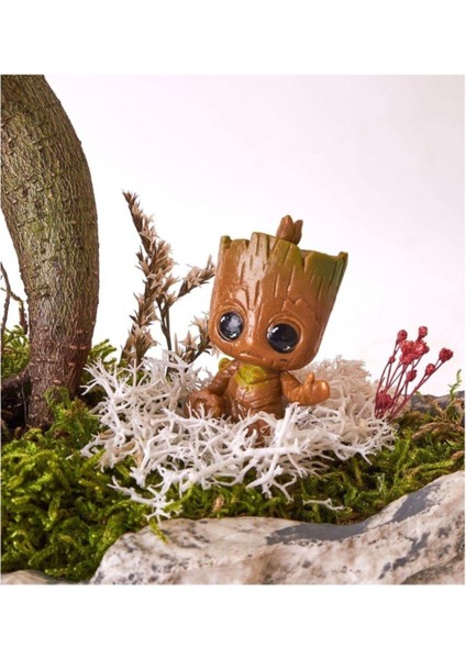 Taş Saksıda Ficus Bonsai ve Groot fiyatları