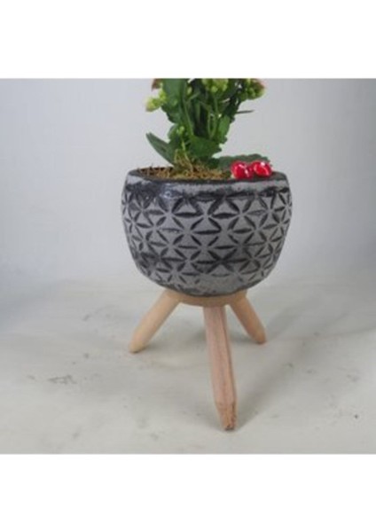 Pembe Kalanşo Kalanchoe & Siyah Bers Ayaklı Beton Saksıda Hediyelik Canlı modelleri