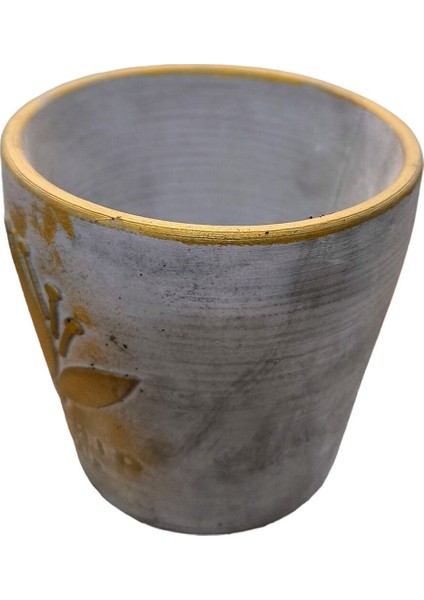 2 Adet Gri Gold Eskitme Orkide Saksısı fiyatları