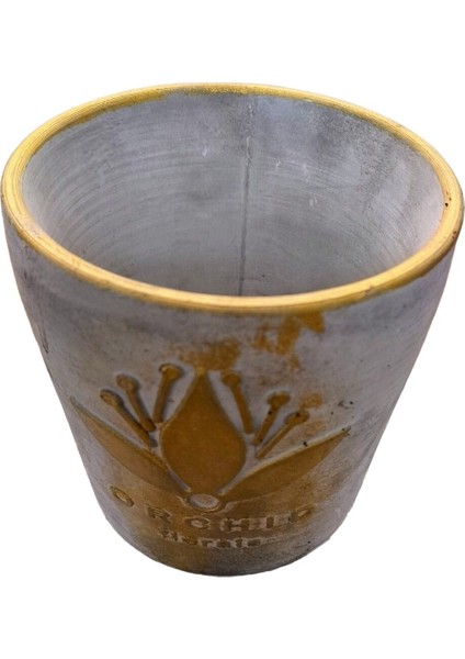2 Adet Gri Gold Eskitme Orkide Saksısı modelleri