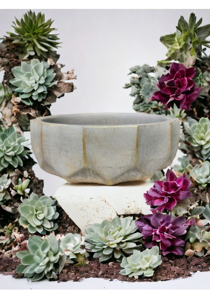 Geometrik Kaktüs Sukulent Aranjman Saksısı