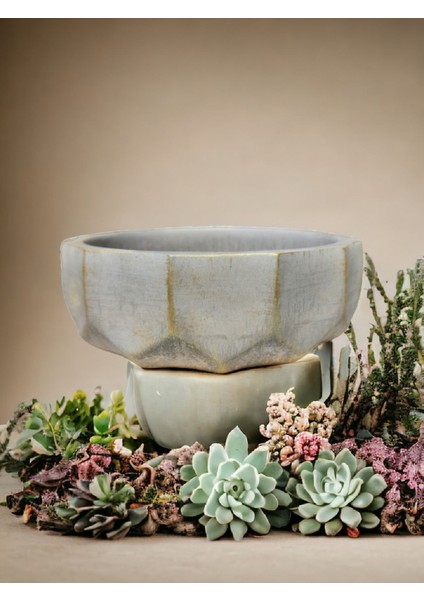 Geometrik Kaktüs Sukulent Aranjman Saksısı fiyatları