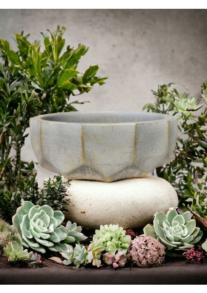 Geometrik Kaktüs Sukulent Aranjman Saksısı modelleri