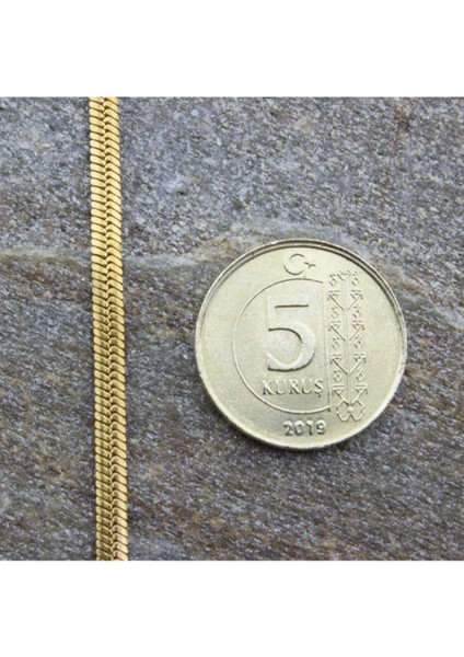 Altın Renk Italyan Yassı Balık Sırtı Zincir Çelik Kolye Ince 60 cm modelleri