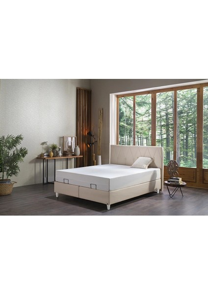 Enzo Baza Krem 150X200 - Krem fiyatları