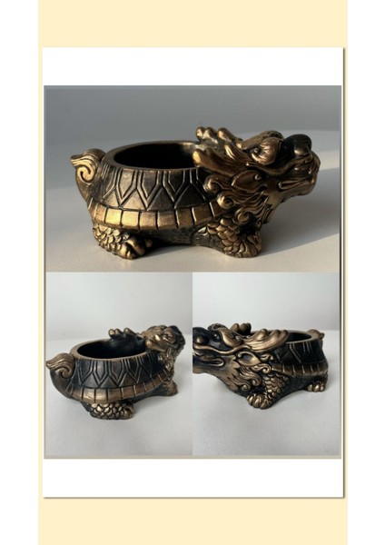 3 Adet Gold Ejder Saksı