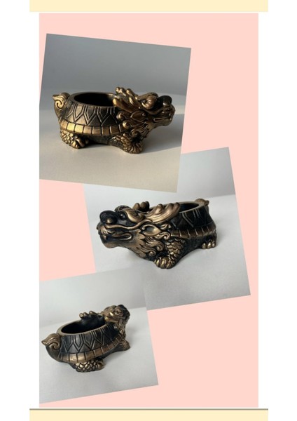 3 Adet Gold Ejder Saksı fiyatları