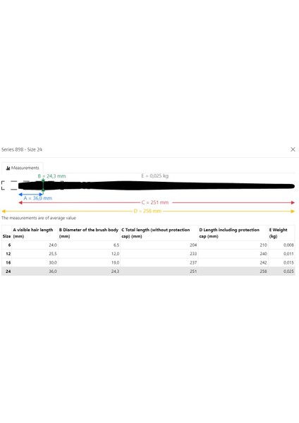 Casaneo Oval Uçlu Sulu Boya Fırçası Seri 898 No 12 fiyatları