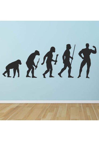 Vücut Geliştirme Evrim Spor Fitness Dekoratif Duvar Sticker Çıkartma Mutfak Ofis Yatak Odası