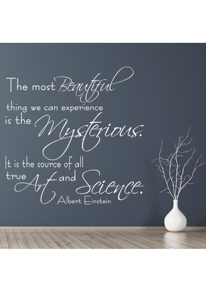 Sanat ve Bilim Albert Einstein Yazılı Dekoratif Duvar Sticker Çıkartması Oturma Odası Salon