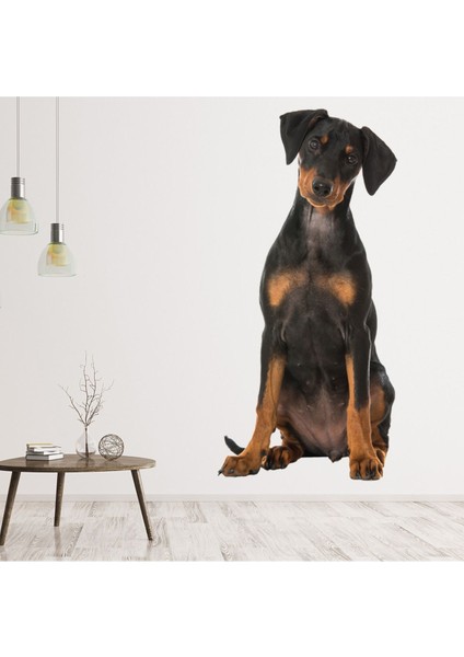 Doberman Yavru Köpek Dekoratif Duvar Sticker Çıkartma Yatak Çocuk Odası