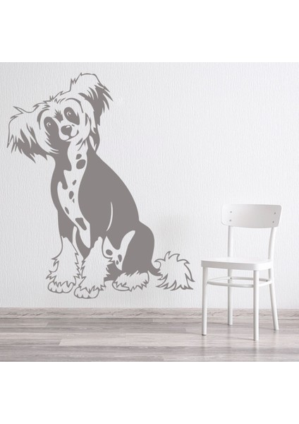 Çin Tepeli Köpek Evcil Hayvanlar Dekoratif Duvar Sticker Çıkartma Yatak Çocuk Odası