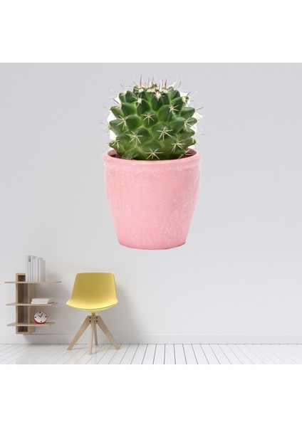 Kaktüs Çöl Bitkisi Dekoratif Duvar Sticker Çıkartma Ofis Oturma Odası