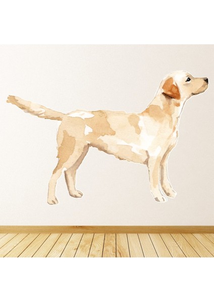 Labrador Retriever Köpek Kulübesi Bakım Dekoratif Duvar Sticker Çıkartma Mutfak Ofis Yatak Odası