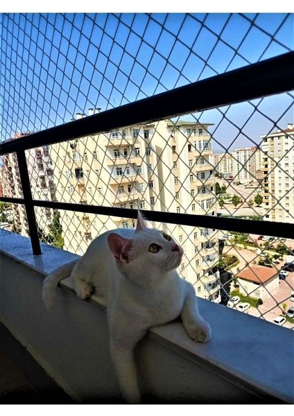 2,50 x 15 Metre Kedi Koruma Filesi Kedi Filesi Balkon Filesi 2 mm Kedi Güvenlik Filesi