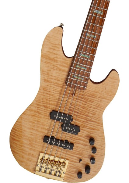 Marcus Miller P10DX 5 Telli Bas Gitar NT