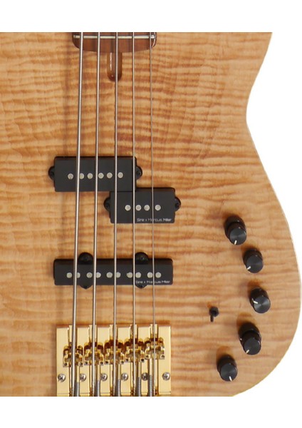 Marcus Miller P10DX 5 Telli Bas Gitar NT