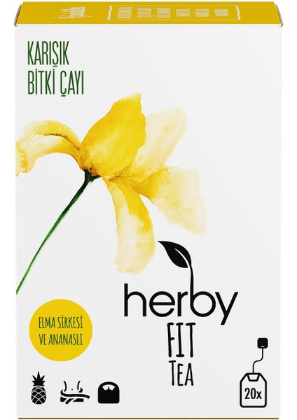 Fit Tea Ananaslı