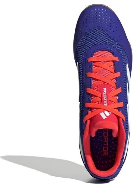 Predator Club Indoor Futsal Ayakkabısı IF6403