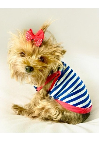 Nautical Summer Atlet Köpek Kıyafeti Köpek Elbisesi