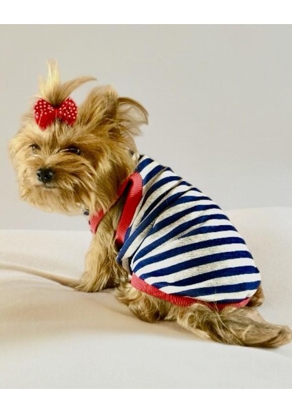 Nautical Summer Atlet Köpek Kıyafeti Köpek Elbisesi