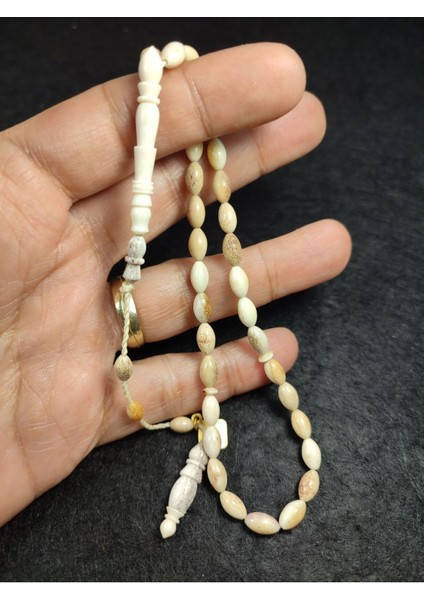 Iskeçeli Cemil Usta Eseri Nadir Tür Ren Geyiği Boynuzu 9.12 Gr. Sertifikalı 4912 fırsatları