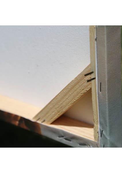 Dekoratif Ahşap Çerçeveli Kanvas Tablo fiyatları