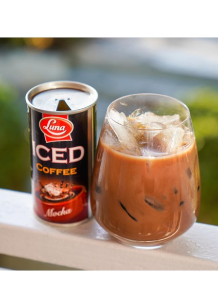 Iced Coffee Mocha 195 gr