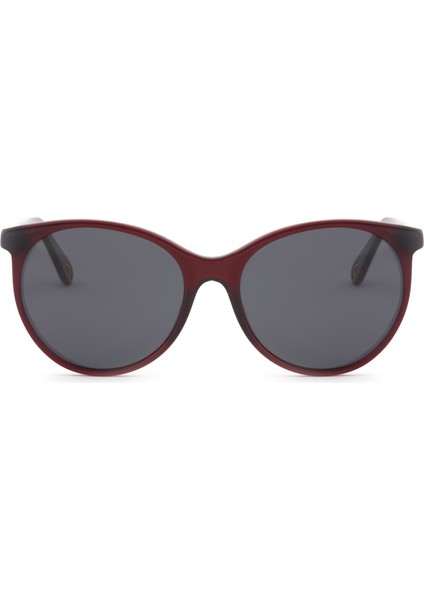 Güneş Gözlüğü FG6004 C4 fiyatları